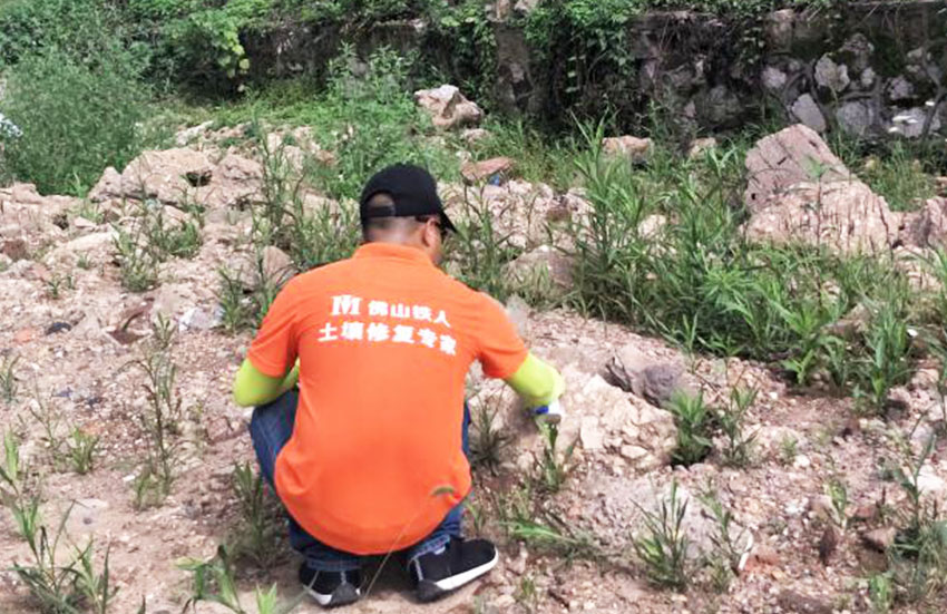 清水塘生态新城临江路(清湖路-清雨路)场地环境调查报告