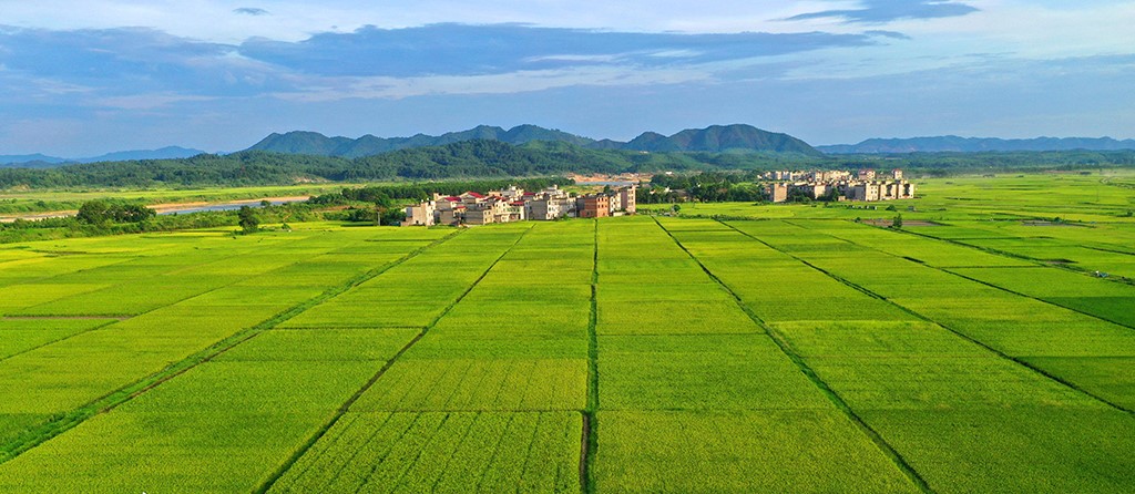 高标准农田场景